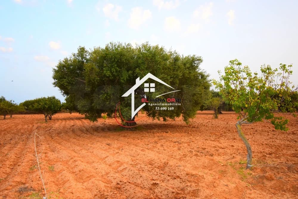 𝑻𝒆𝒓𝒓𝒂𝒊𝒏 𝑨𝒈𝒓𝒊𝒄𝒐𝒍𝒆 𝒂̀ 𝑽𝒆𝒏𝒅𝒓𝒆 𝒂̀ 𝒃𝒆𝒌𝒂𝒍𝒕𝒂 𝑴𝒐𝒏𝒆𝒔𝒕𝒊𝒓