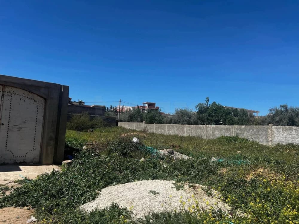 أرض سكنية لبيع في الكاف