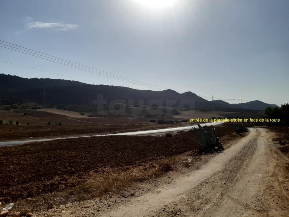 BELLE OCCASION DE TERRAIN