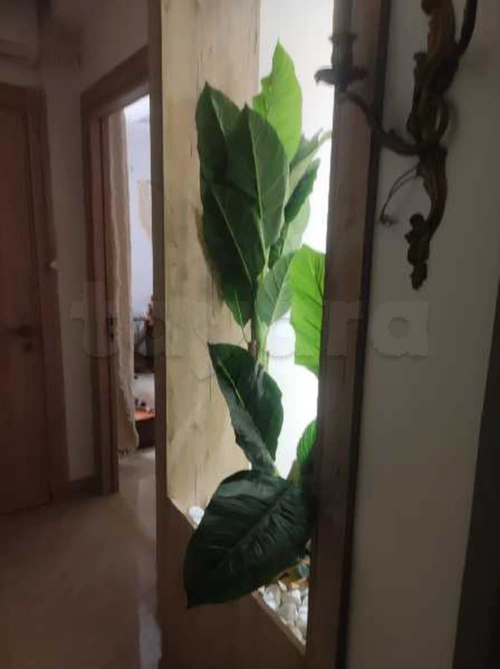 Villa à vendre 
 Nour jaafer ariana 