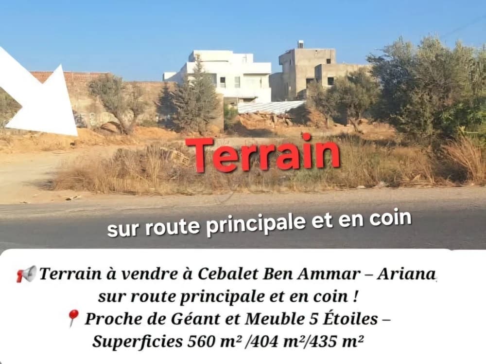 🔥 Terrain Rare 560m² ou 500m² Coin – Cebalet Ben Ammar – 370 DT/m² 🔥