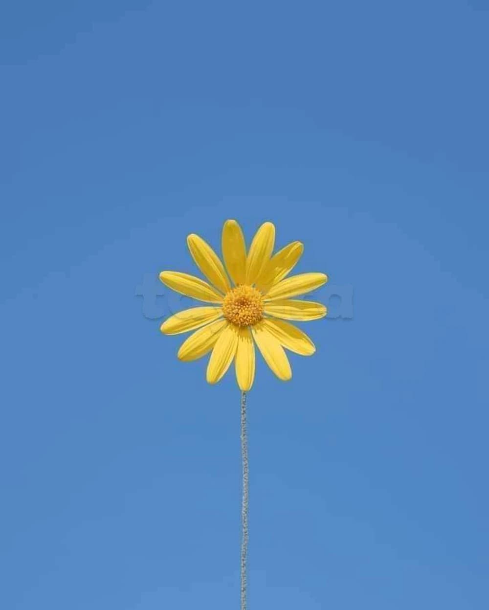 Fond de commerce à vendre