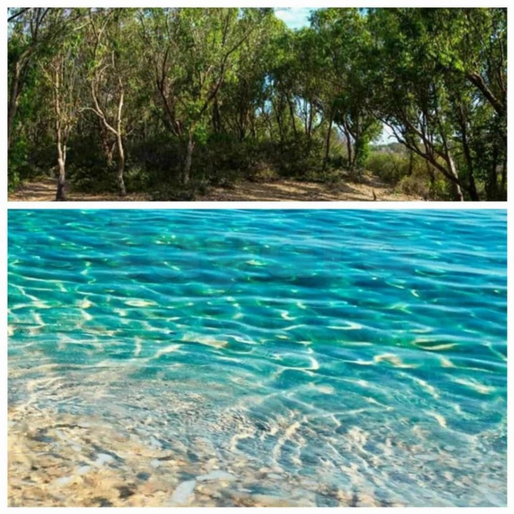 a vendre un terrain à plage ezzahra kélibia