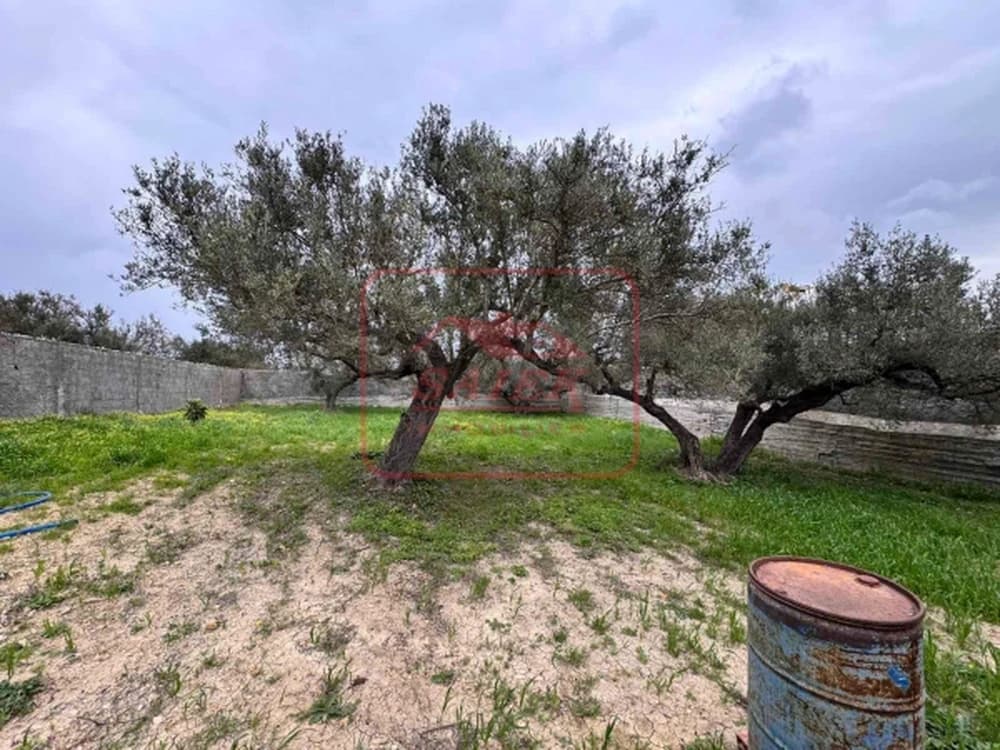 A Vendre Terrain àBni Meslem Bizerte