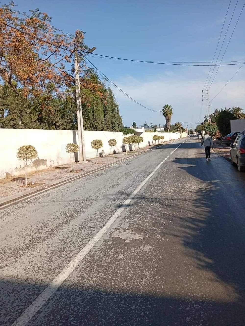 A vendre deux ancien maison la 1er sur un terrain 395m² la 2em terrain 358m² titre individuelle ce trouve  Rue due PARC SOUKRA coté maison SOLA Tunis