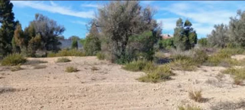 قطعة ارض للبيع 500 م علي طريق وطنية رقم ١ بئر بوركبة حمامات ولاية نابل