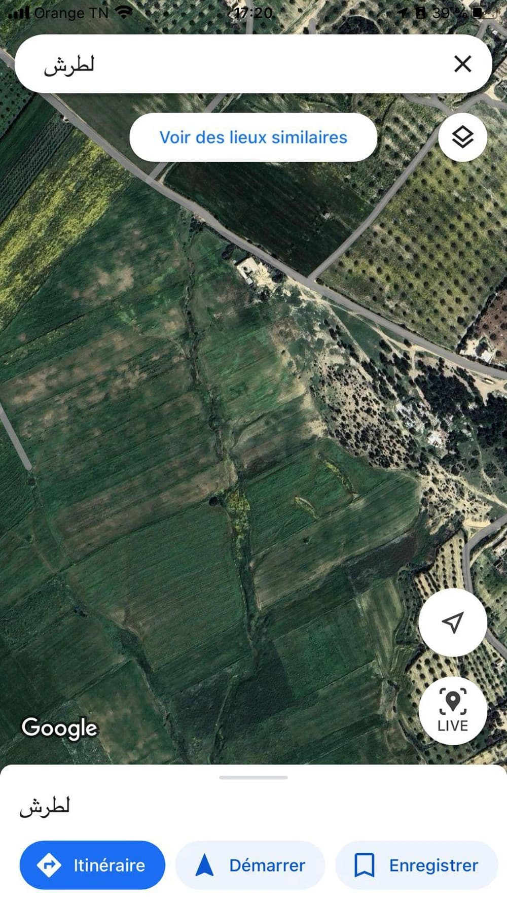 A vendre a Hammamet (latrech) un terrain d’une superficie de un hectare 