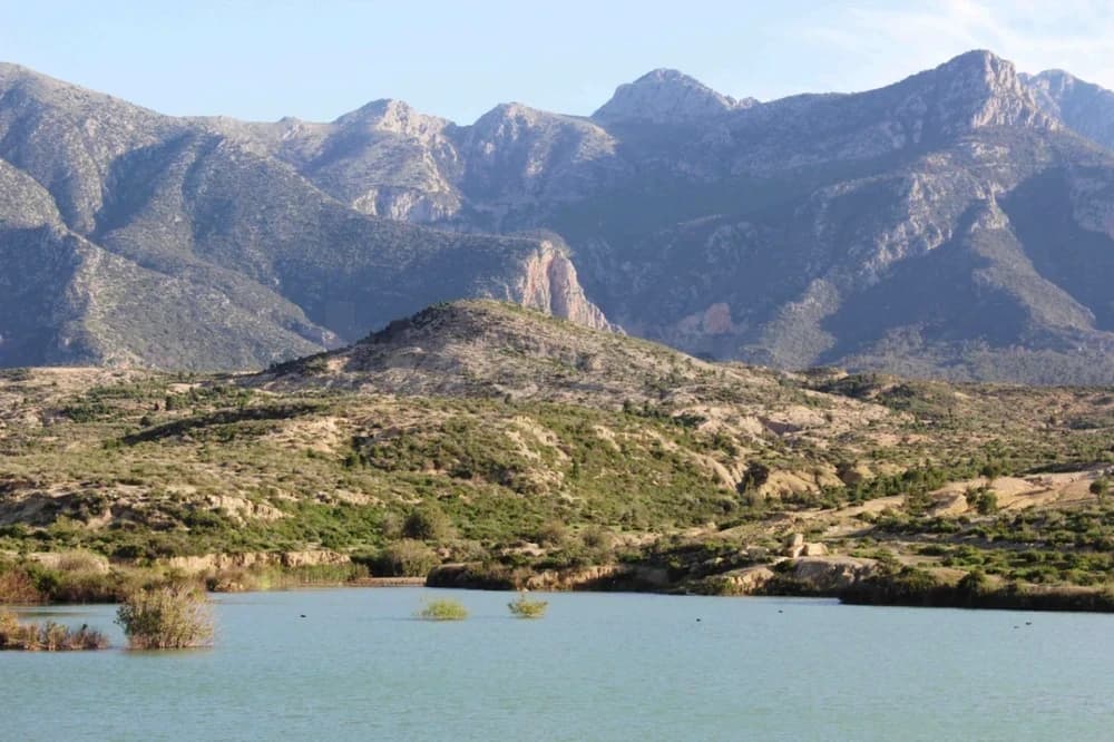 أرض صالحة لإقامة مشروع سياحي أو فلاحي قبالة جبل زغوان وعلى مقربة من معبد المياه