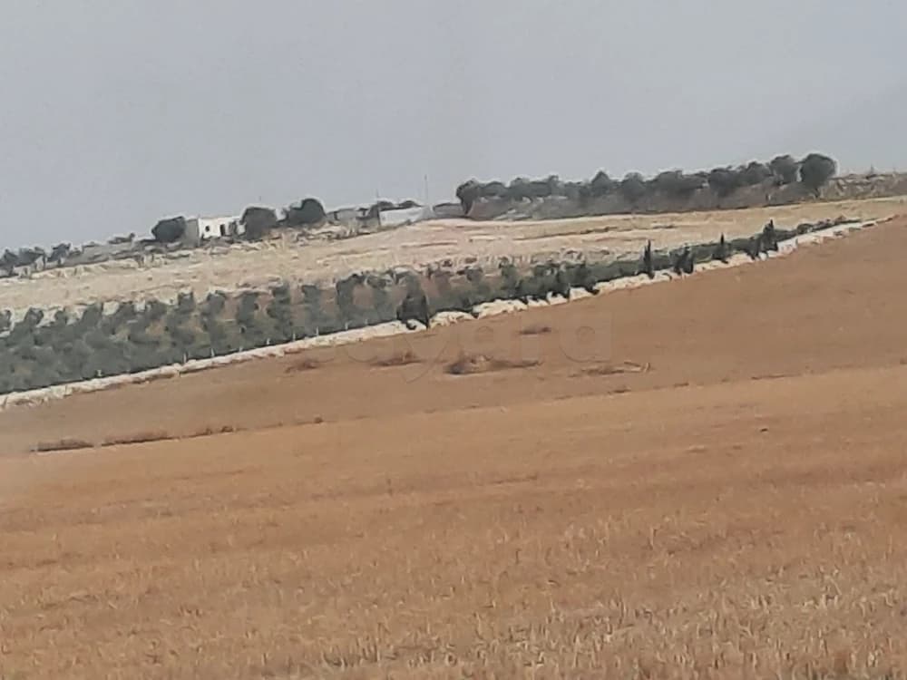 DES   LOTS DE   01 Ha