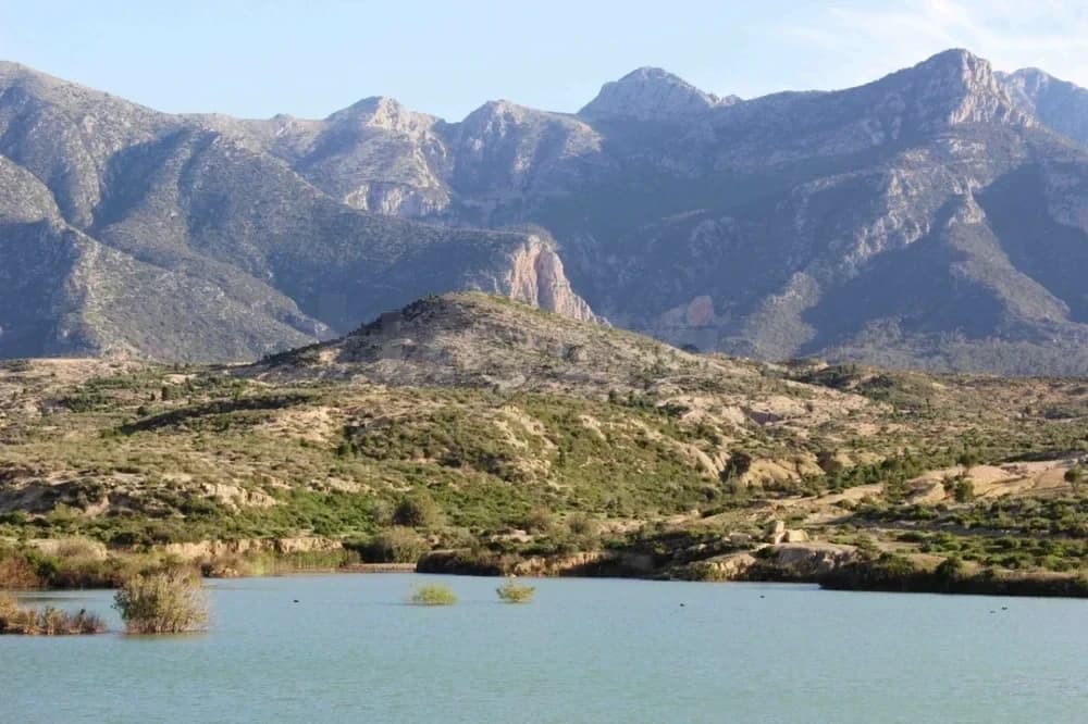 أرض صالحة لإقامة مشروع سياحي أو فلاحي قبالة جبل زغوان وعلى مقربة من معبد المياه