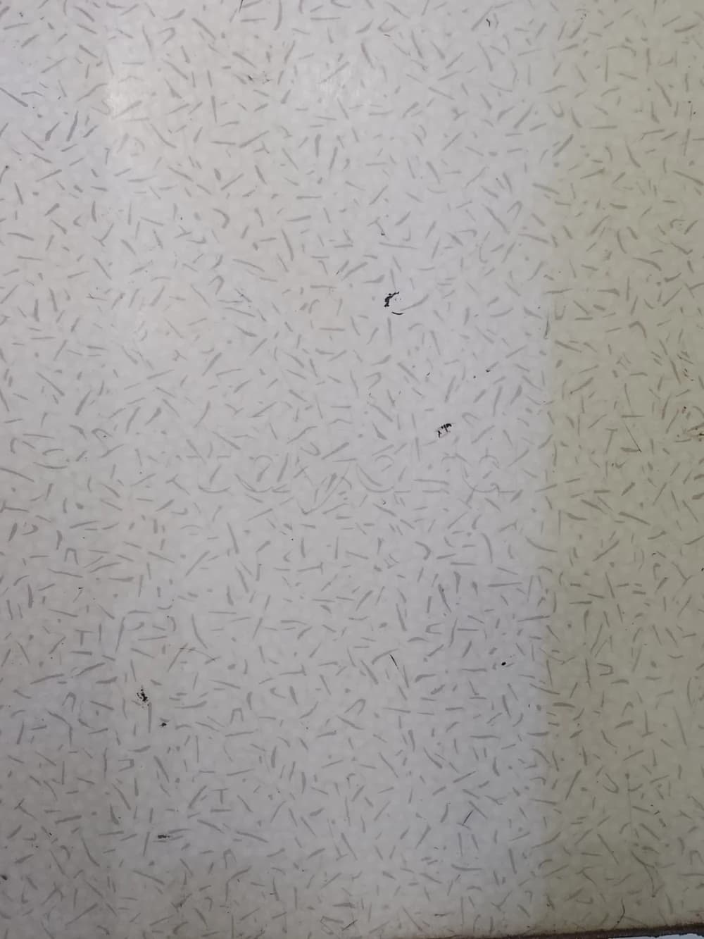 اصل تجاري للكراء في الكرم على الشارع الرئيسي محمد الخامس قرب meublatex طريق المعرض 