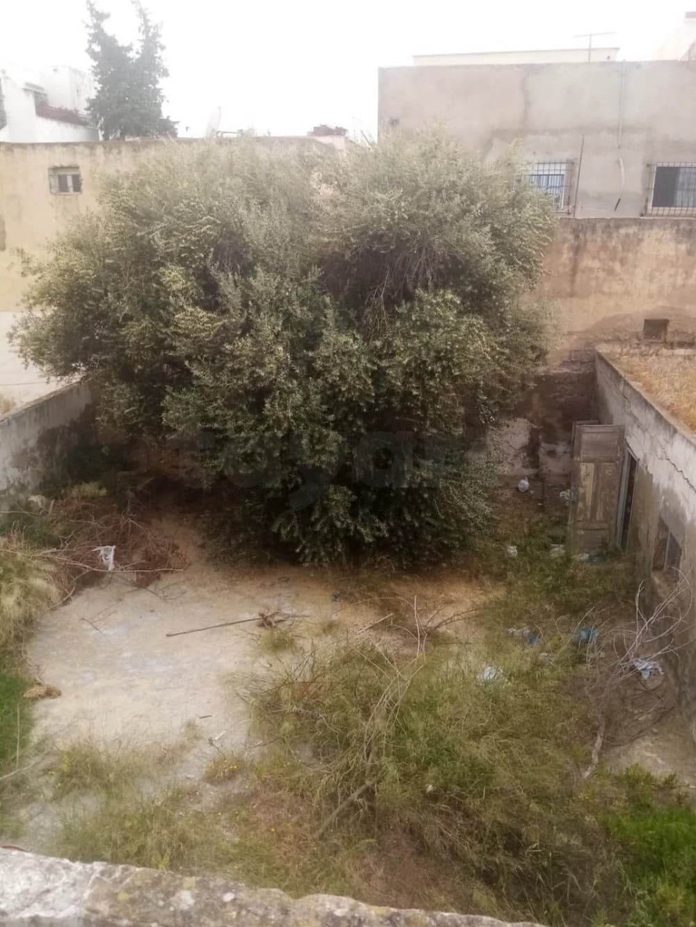 Super occasion terrain 425m2 titre bleu khaireddin