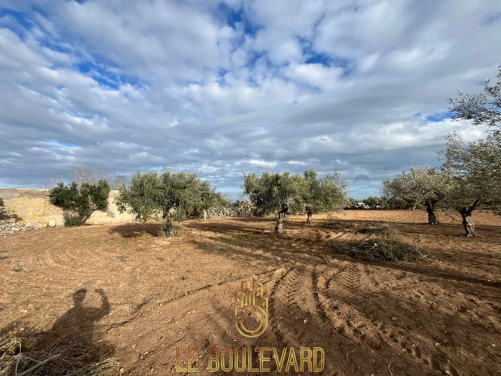 A vendre terrain agricole avec vue sur mer, situé à Dharoufa, Nabeul