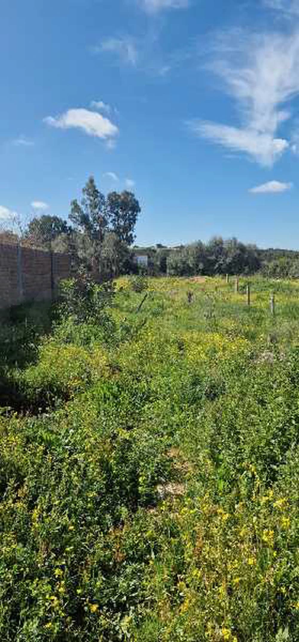 Terrain Rtiba Takelsa 