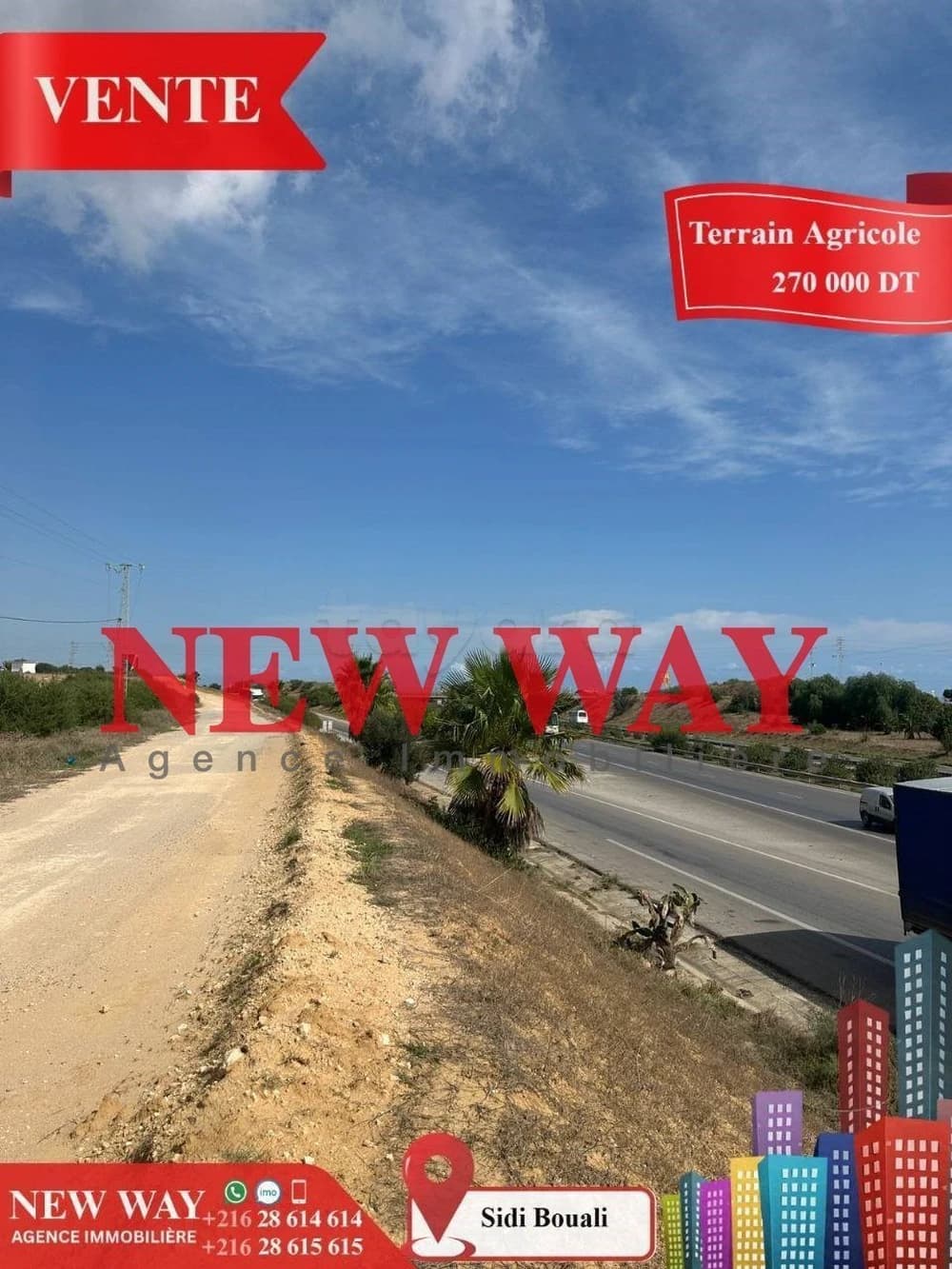 Terrain Agricole à Sidi Bouali  près de l'autoroute et GP1       