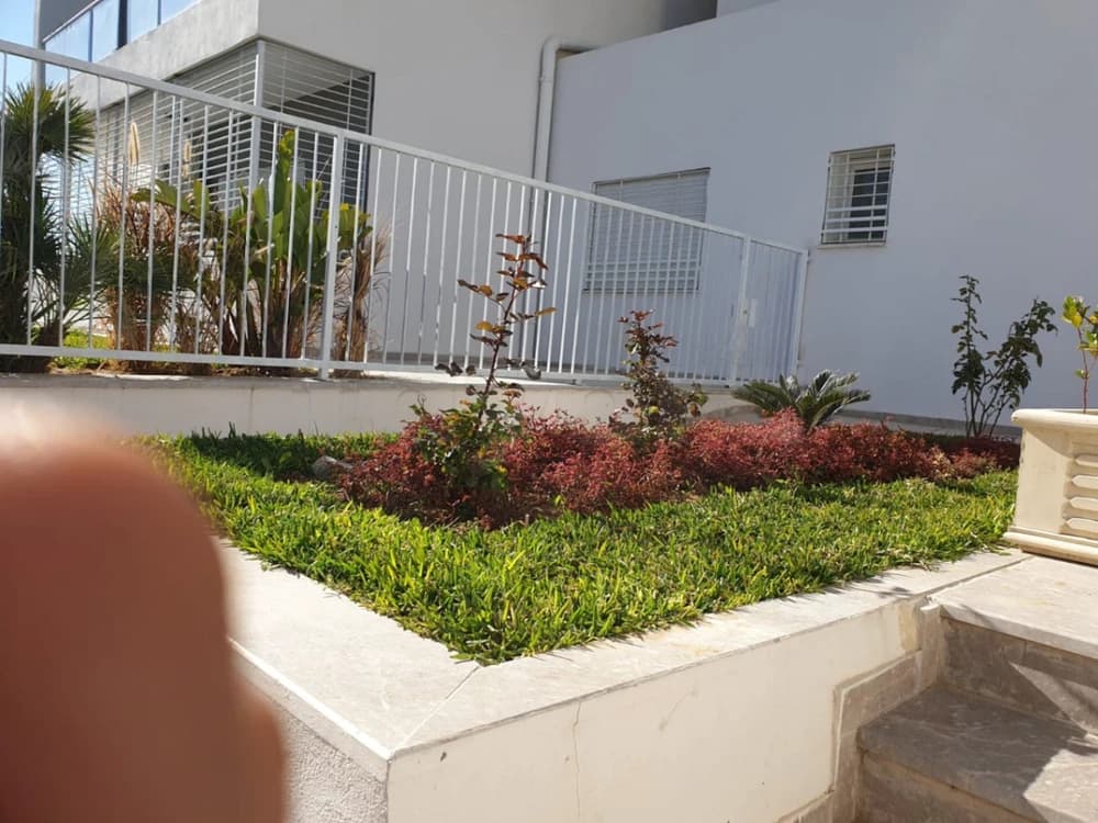 Location appartement S+2