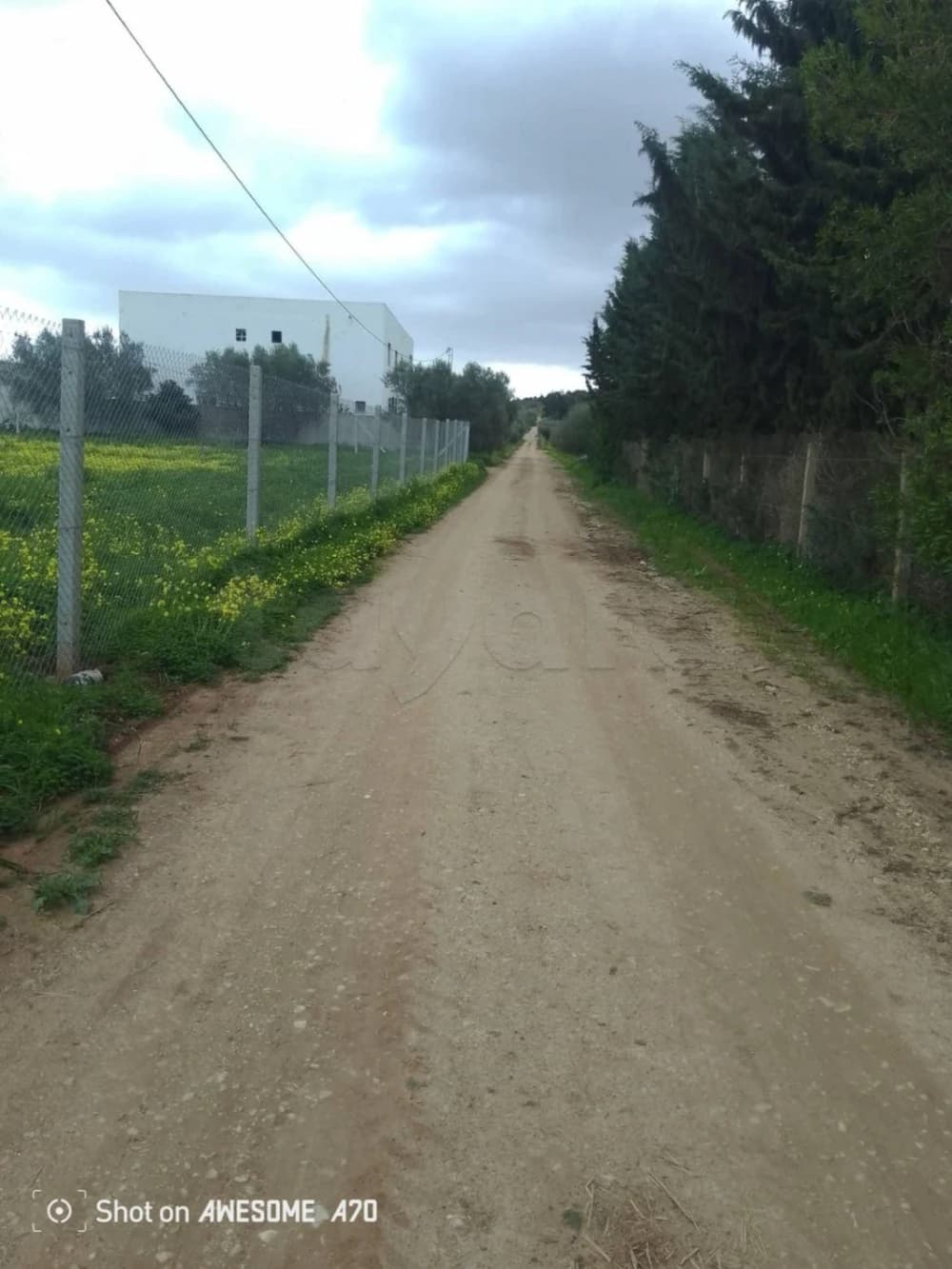 Plusieurs Lots de terrain de 1000m situés à sidi thabet