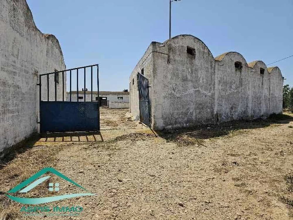 Terrain agricole 14280 m²  à Kelibia 