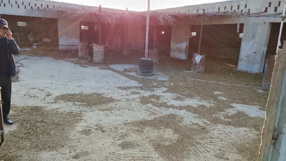 كوري للكراء