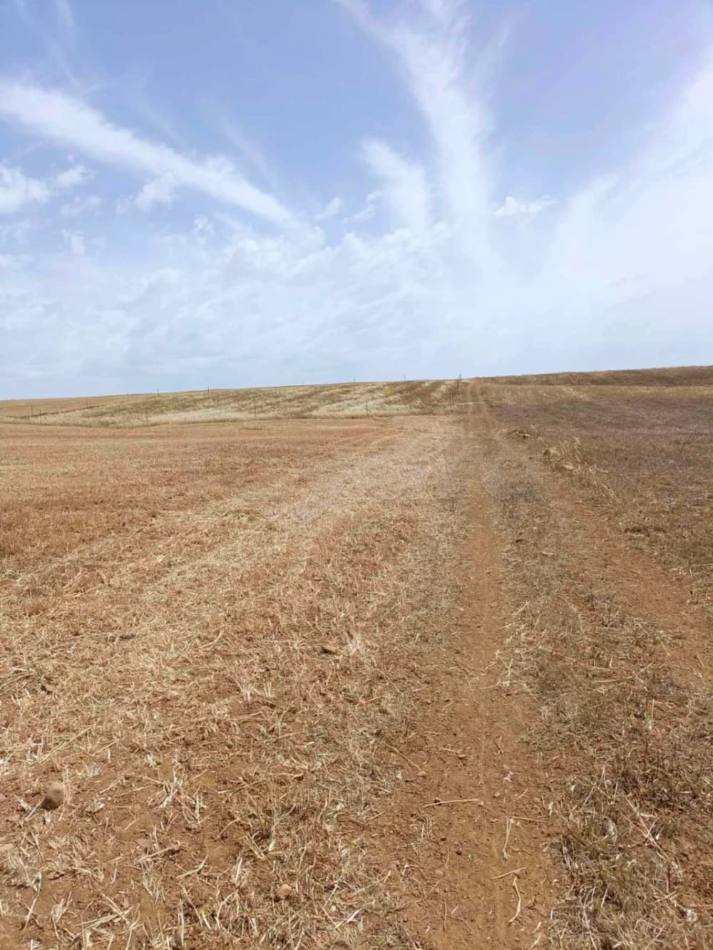 AV terrain de 4900m pas loin de hammamet yasmine 99958728