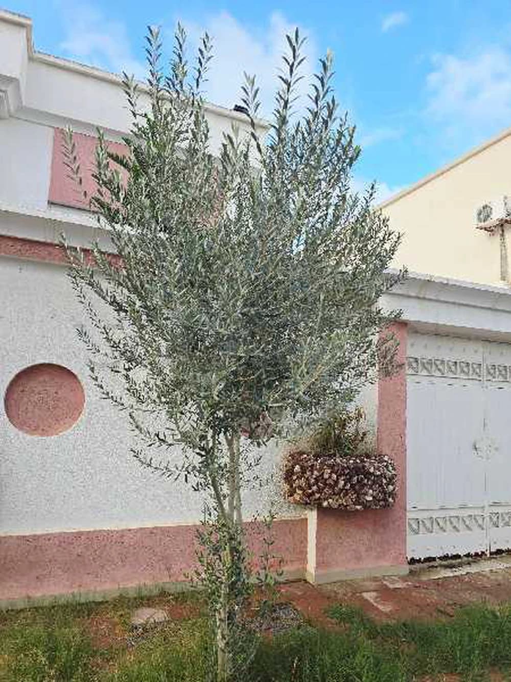 villa prestigieuse à sahloul4 