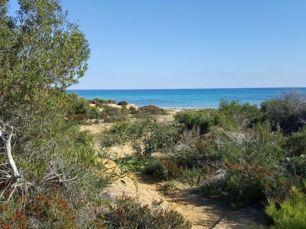 A vendre un terrain de 10 000 m² au bord de la mer