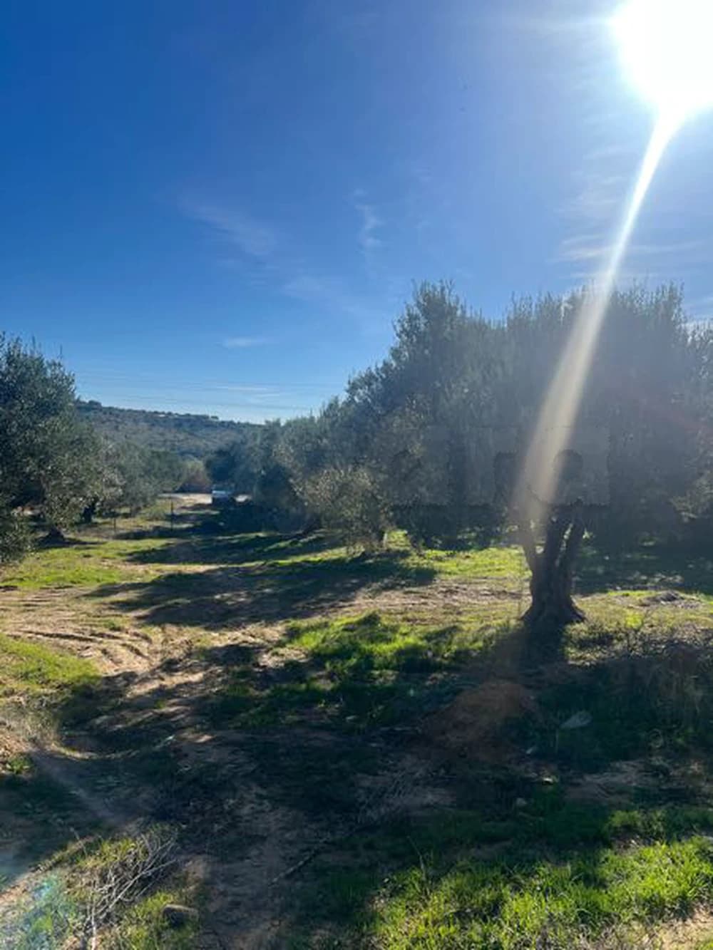  À VENDRE – Terrain Idéal pour Villa d’Été à Bir Bouregba, hammamet 