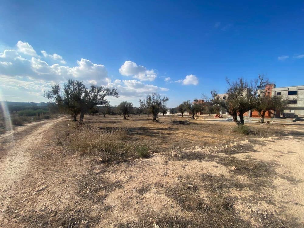 Terrain agricole en vente 