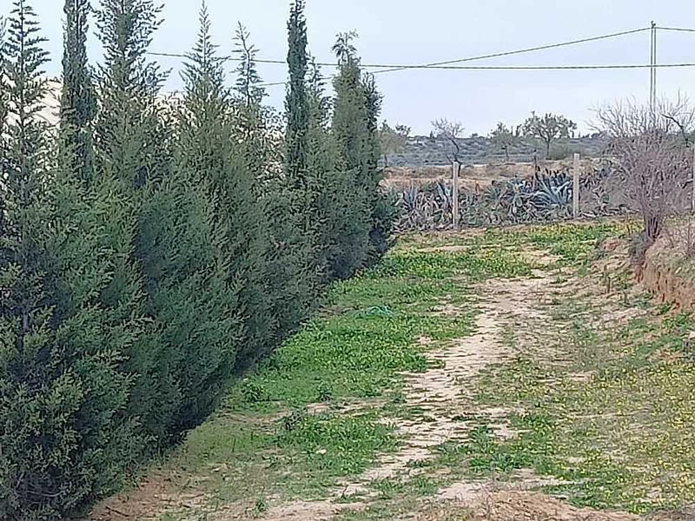 سانية مع زوز باطيمات