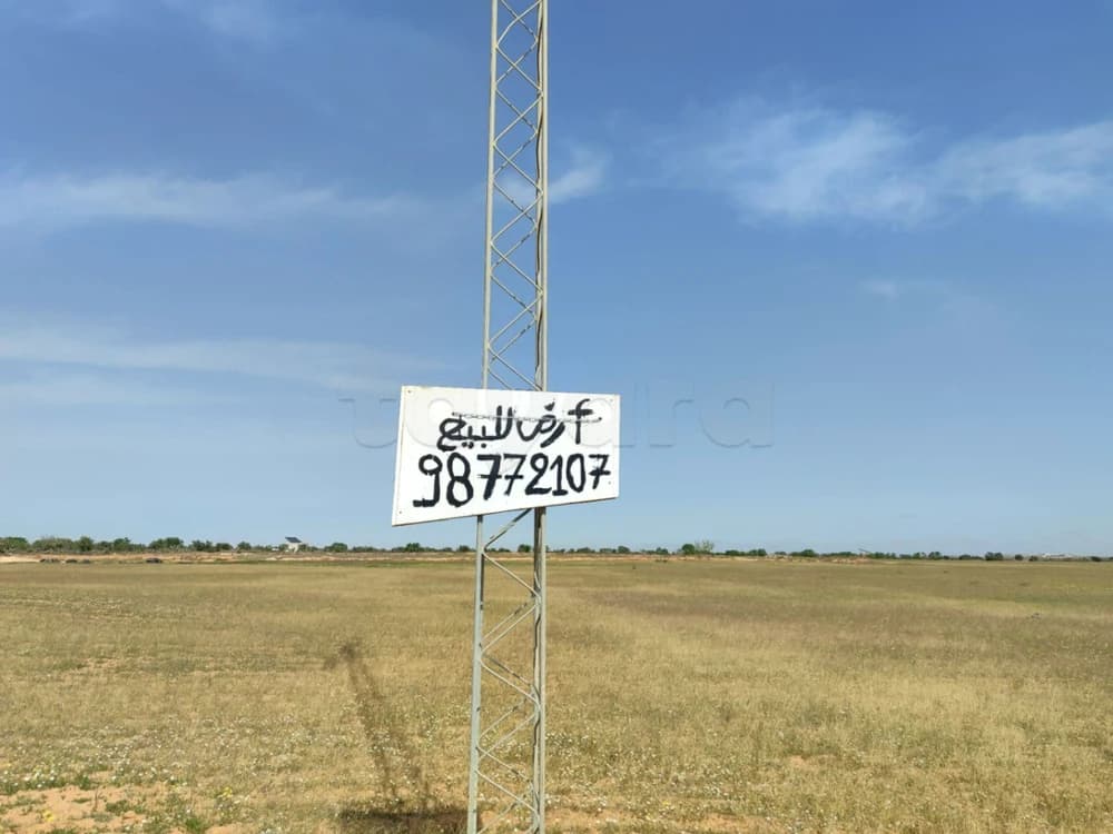 Vente terrain agricole Ain Turkia Sfax