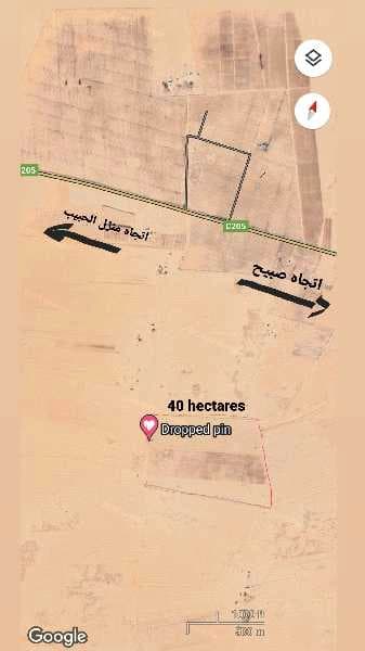 ارض فلاحية مساحة 40 هكتار منزل الحبيب