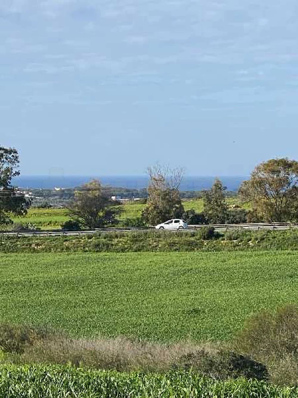 هكتار للبيع في رفراف