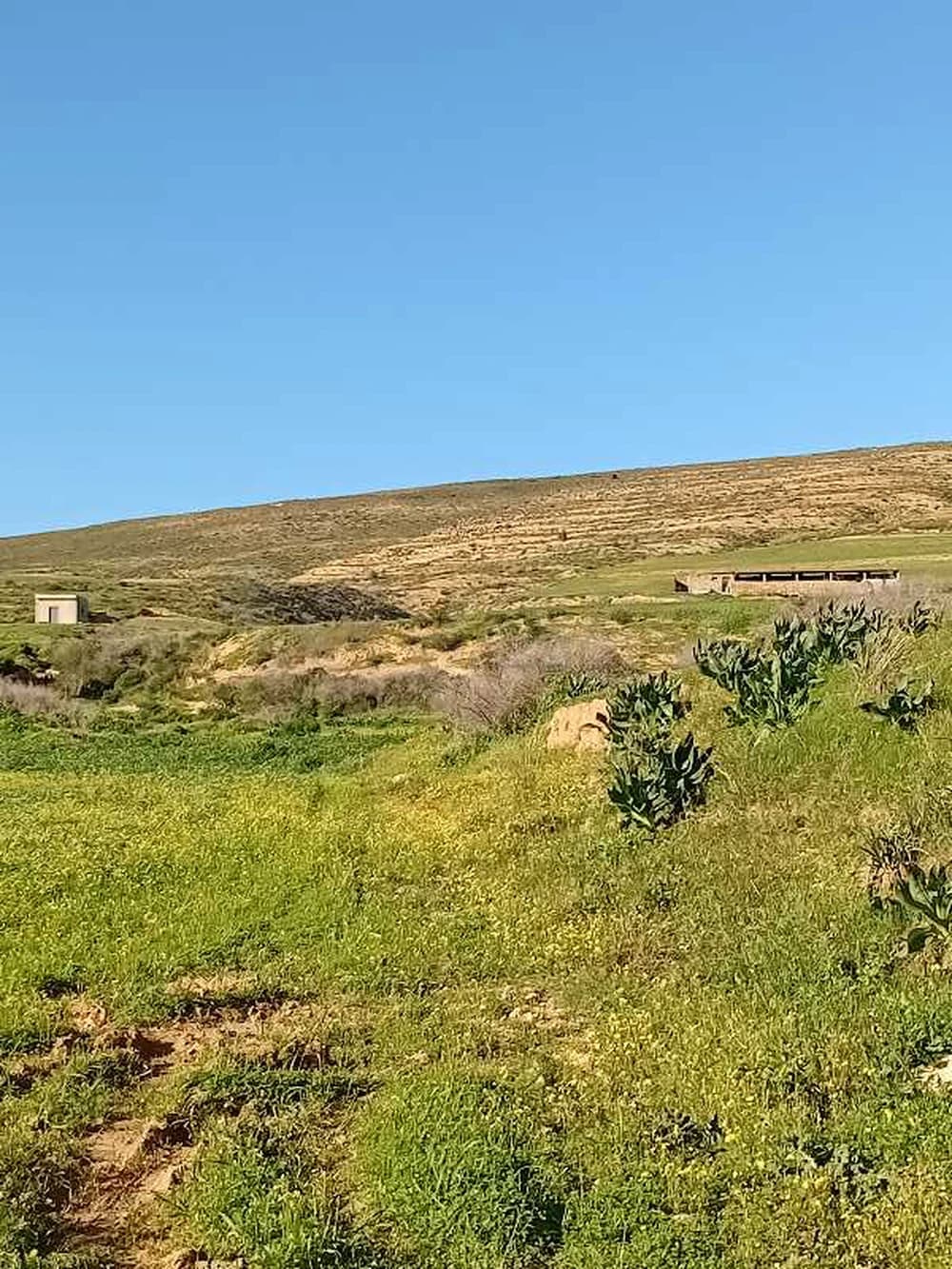 2 hectare sur la route Utique