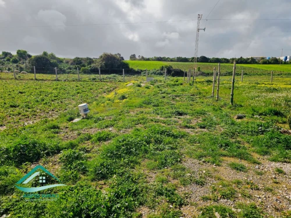  Terrain 1 000 m² à Tamezrat Kelibia