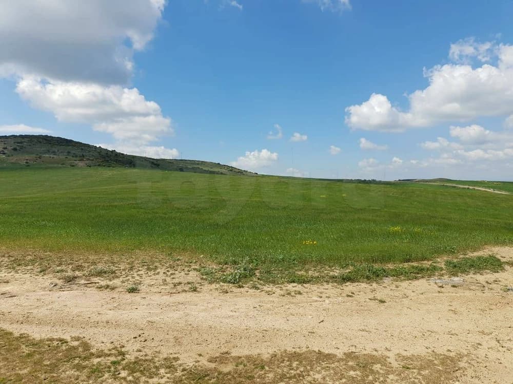 Terrain agricole lansarine