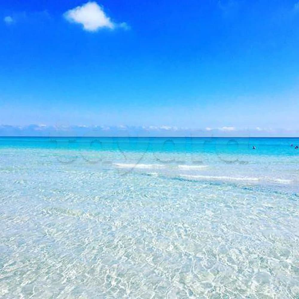 Terrain pieds dans l'eau 