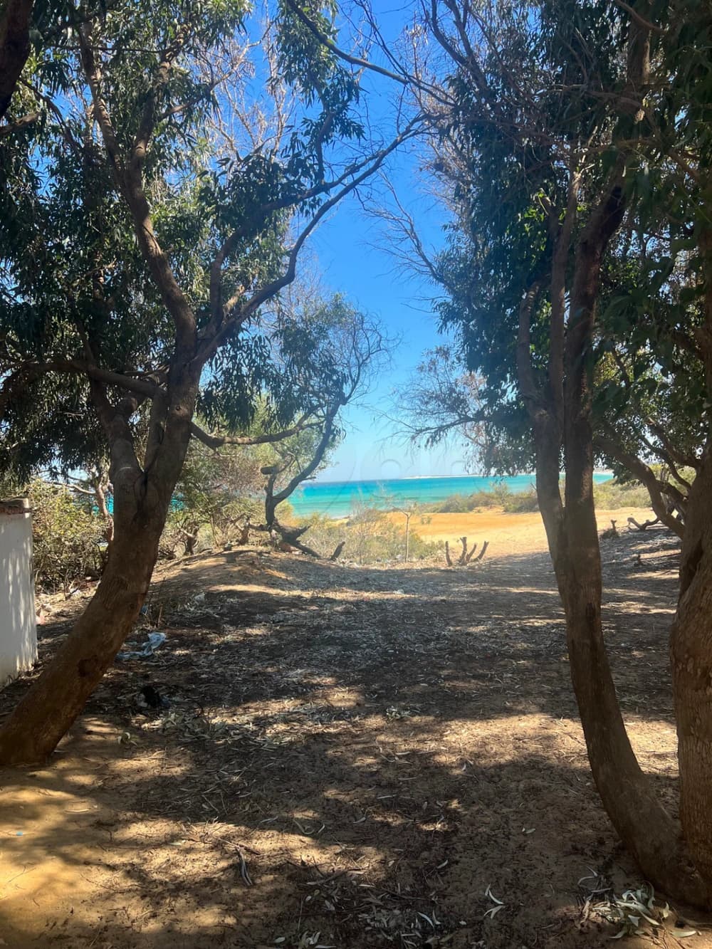  الفرصة تجي مرة استثمر معنا ب 1000 متر مربع