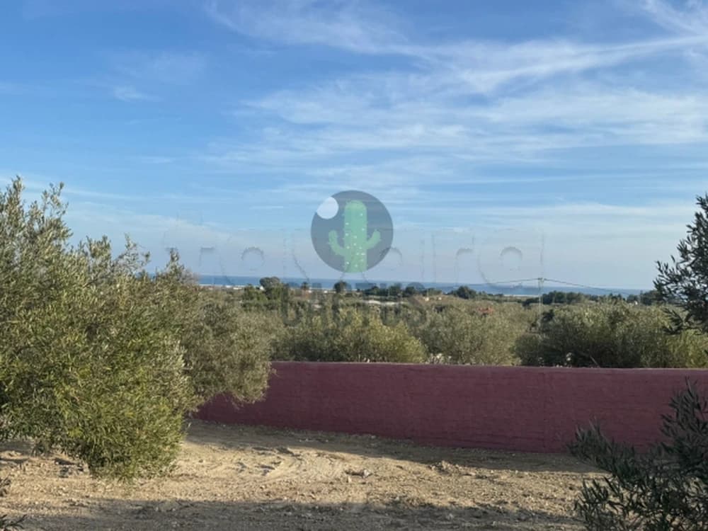 À vendre : terrain de 733m² Vue De Mer à Daroufa, Nabeul.