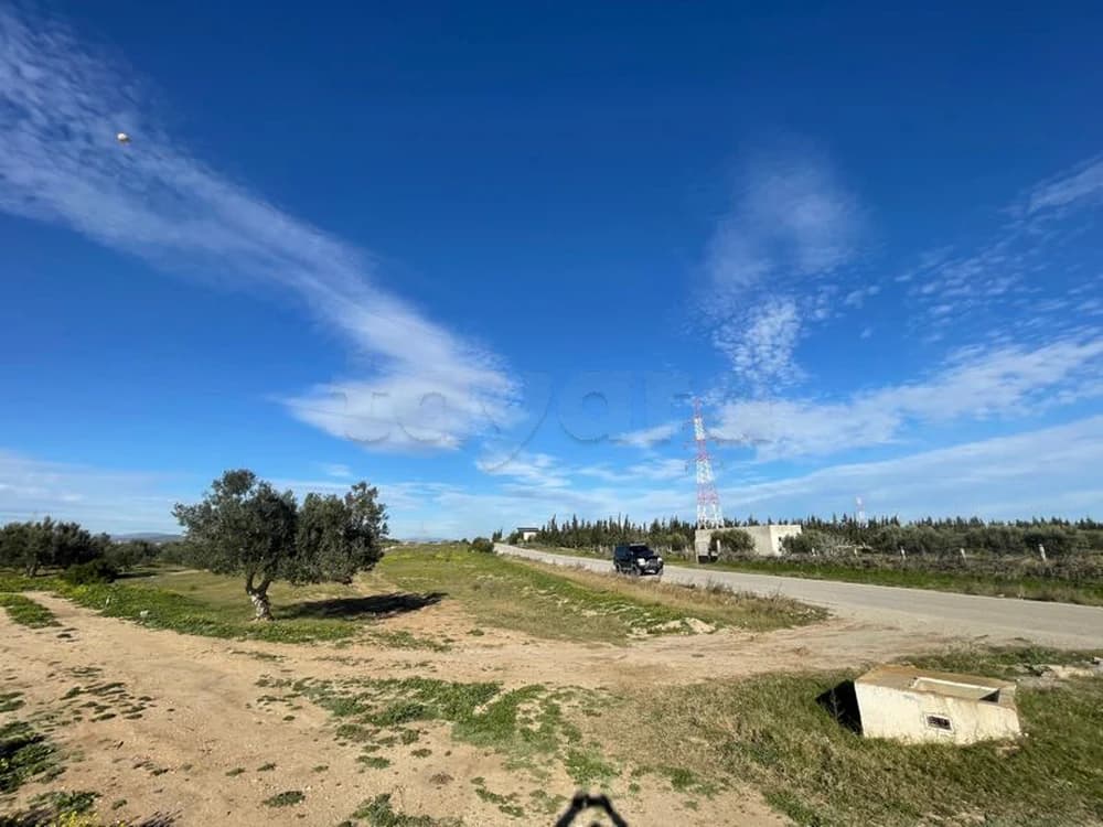TERRAIN Yasmine Hammamet