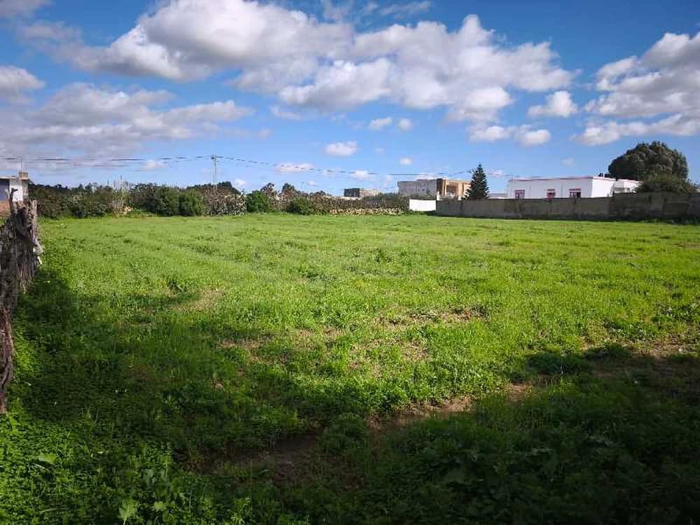 قطعة الأرض للبيع 3000 م² قريبة من البحر بوكريم الهوارية 