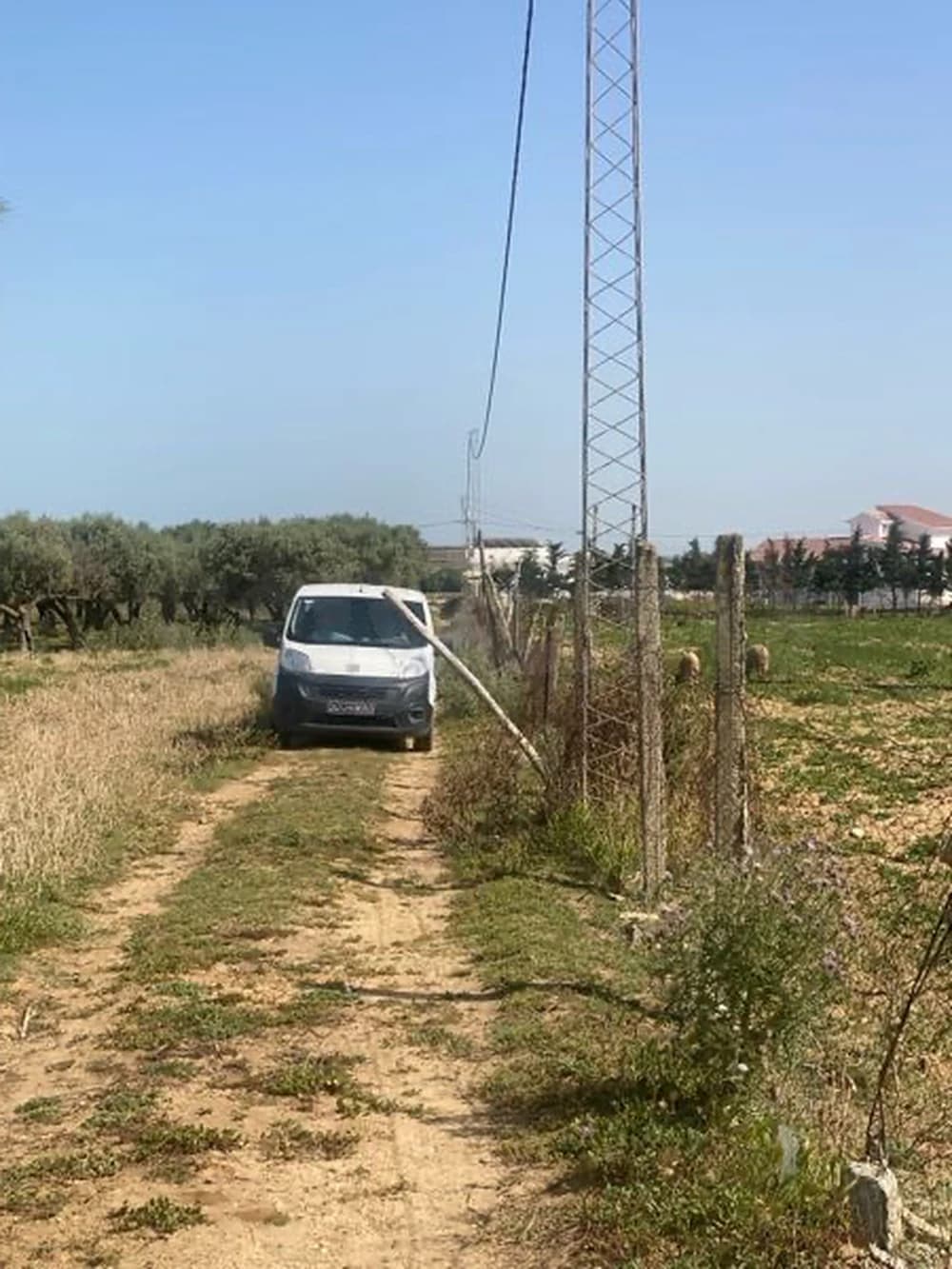 هكتار للبيع في ولاية بنزرت