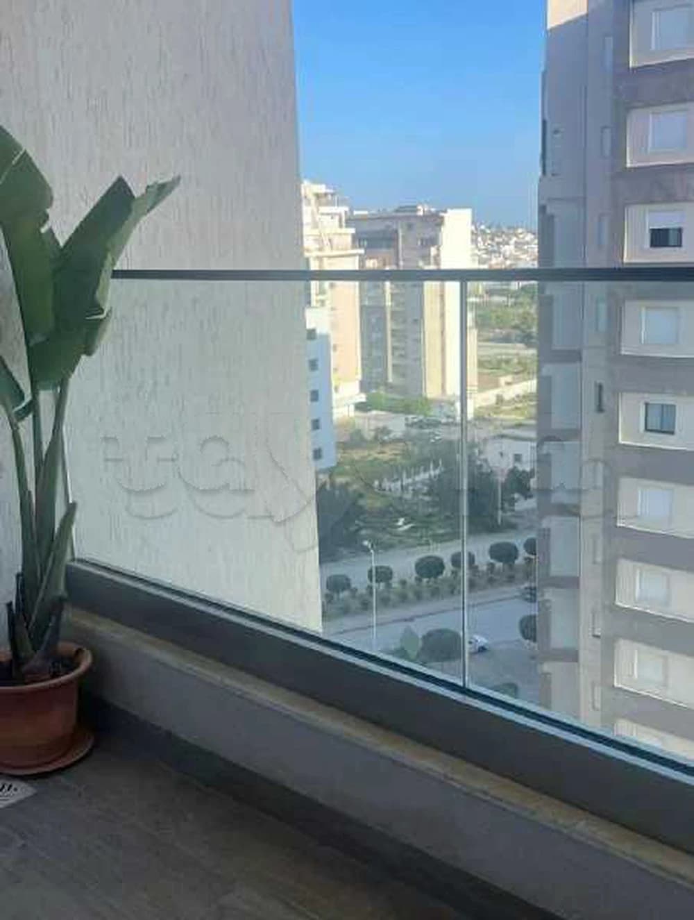 💥💥 A loue un s+1 aux jardins de Carthage 