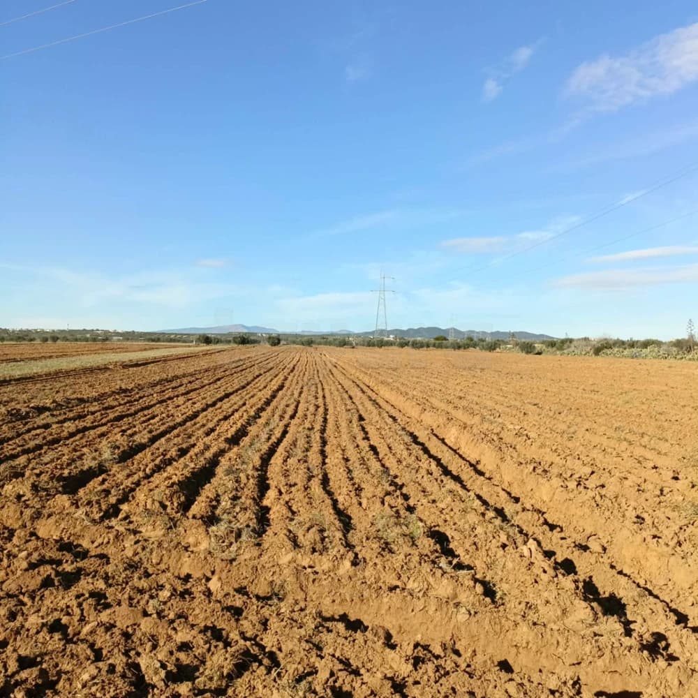 للبيع هكتار+500م على الطريق بسيدي سعيد99202001