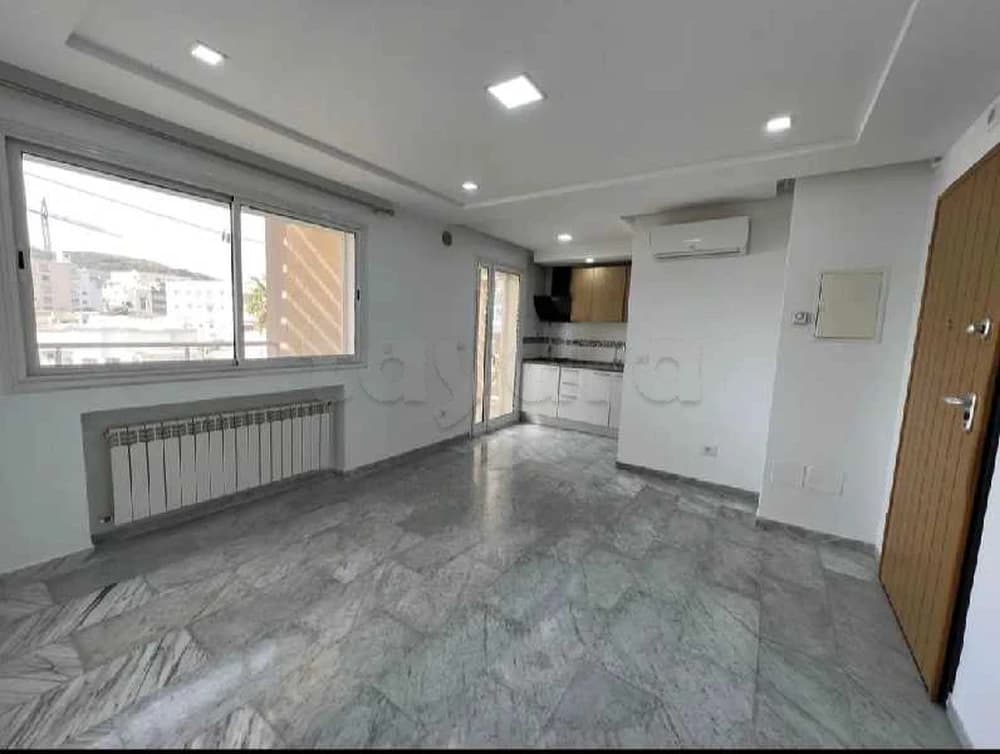 RIADH EL ANDALOUS : APPARTEMENT S +1 A LOUER 

