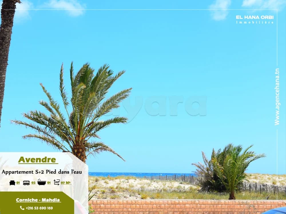 𝒂̀ 𝒗𝒆𝒏𝒅𝒓𝒆 𝒂𝒑𝒑𝒂𝒓𝒕𝒆𝒎𝒆𝒏𝒕 𝒔+2 𝒑𝒊𝒆𝒅 𝒅𝒂𝒏𝒔 𝒍’𝒆𝒂𝒖 𝒔𝒖𝒓 𝒄𝒐𝒓𝒏𝒊𝒄𝒉𝒆 𝒎𝒂𝒉𝒅𝒊𝒂