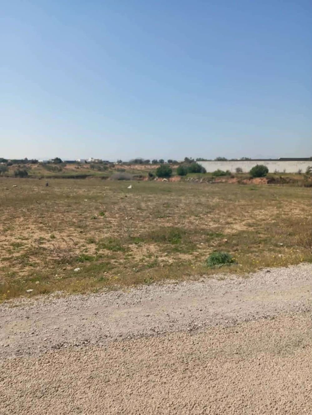 للبيع 1000م على الطريق بسيدي سعيد99958728