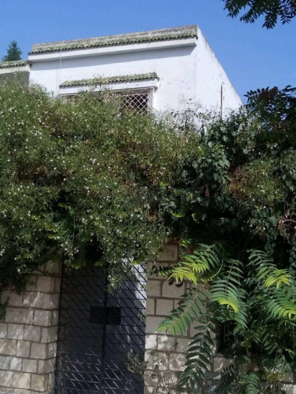 Maison S+3 à vendre à bardo