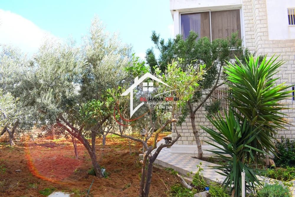 𝒕𝒆𝒓𝒓𝒂𝒊𝒏 𝑹+4 𝒑𝒐𝒖𝒓 𝒑𝒓𝒐𝒎𝒐𝒕𝒆𝒖𝒓 𝒔𝒖𝒓 03 𝒗𝒐𝒊𝒔 𝒆𝒏 𝒇𝒂𝒄𝒆 𝒇𝒂𝒄𝒖𝒍𝒕𝒆́