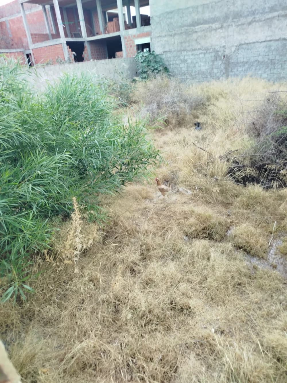 A VENDRE UN LOT DE TERRAIN A BOUMHEL 