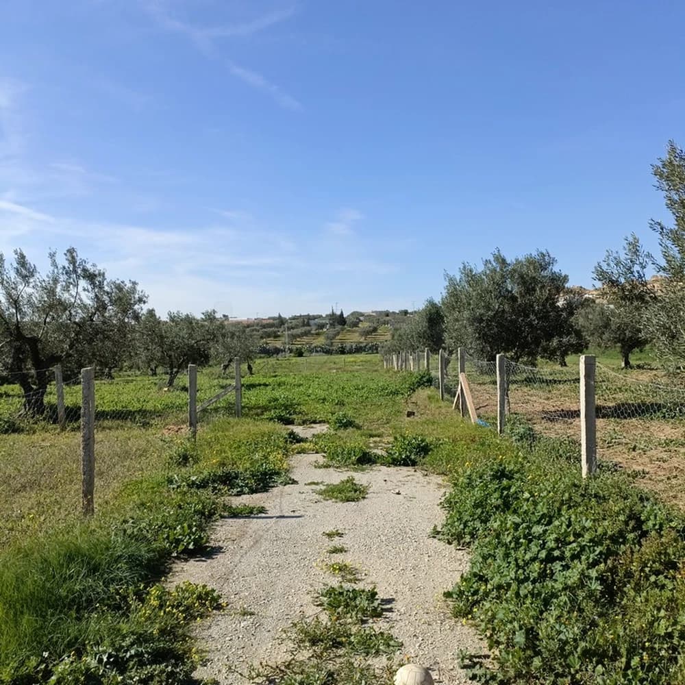 للبيع 1680م مسيجة بالمنشار 99958728